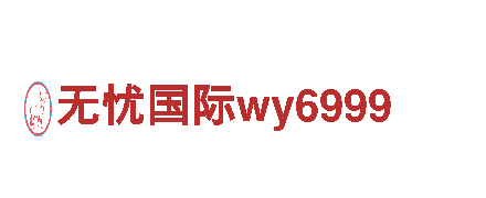 体验无忧国际wy6999的绝佳选择